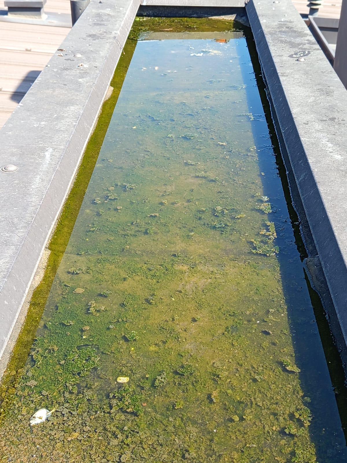 Alessandro Arnese - Sana SOLUZIONI Progetti