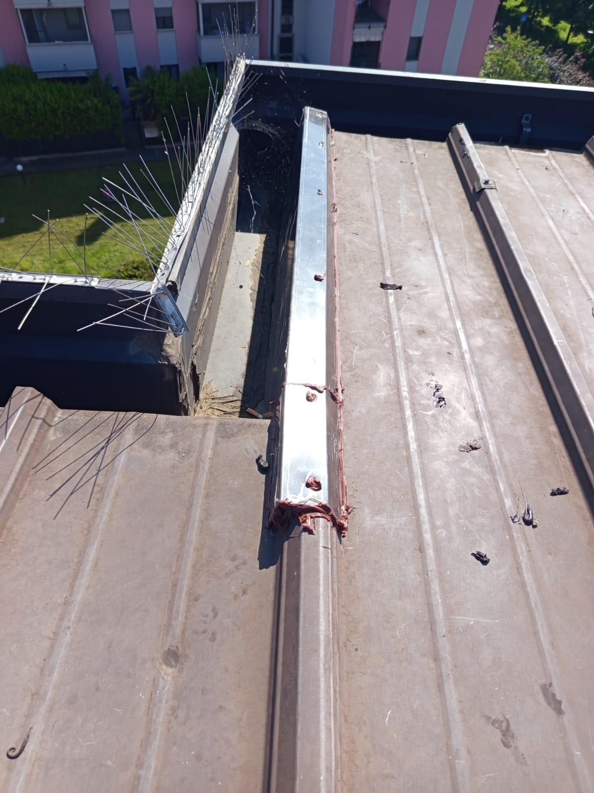 Alessandro Arnese - Sana SOLUZIONI Progetti