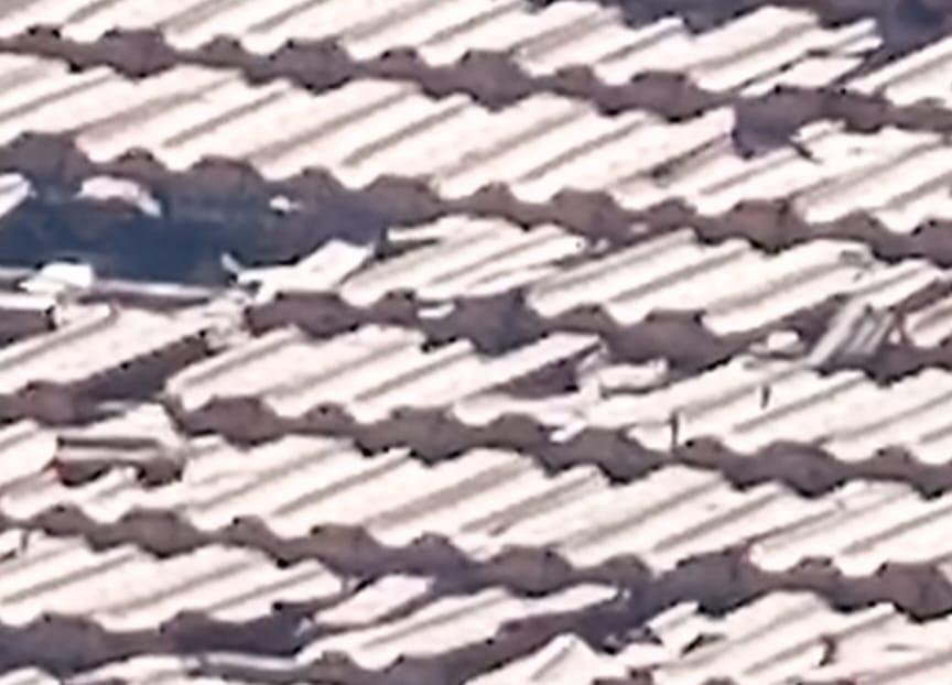 Alessandro Arnese - Sana SOLUZIONI Progetti