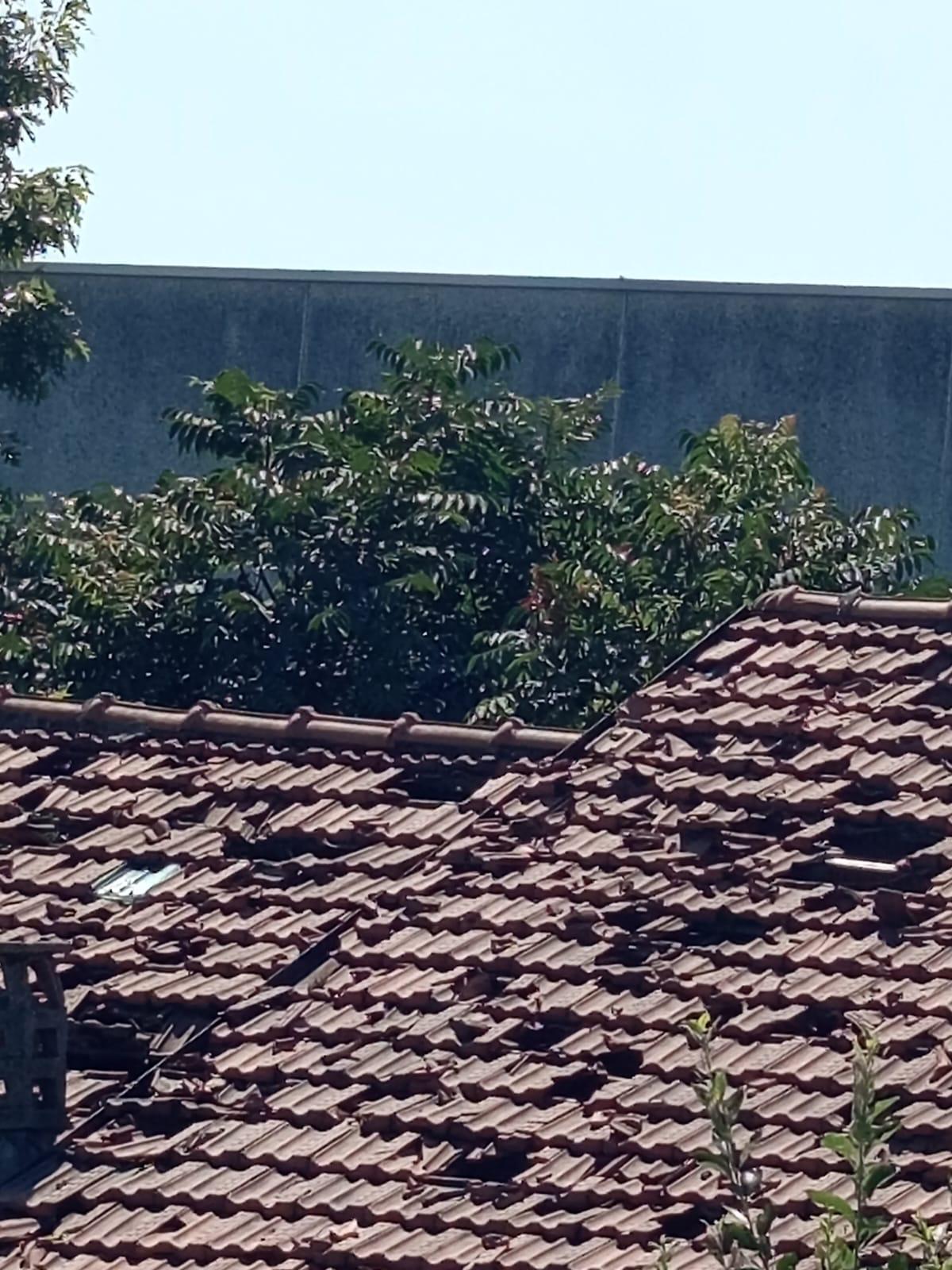 Alessandro Arnese - Sana SOLUZIONI Progetti