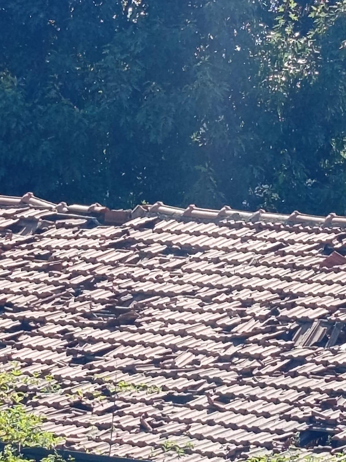 Alessandro Arnese - Sana SOLUZIONI Progetti