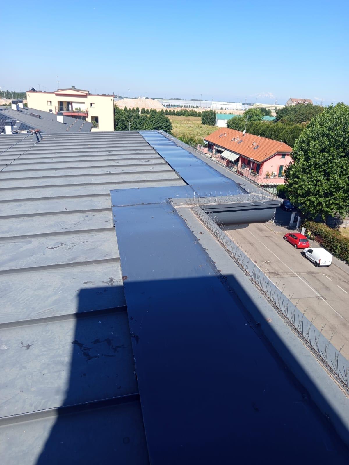 Alessandro Arnese - Sana SOLUZIONI Progetti