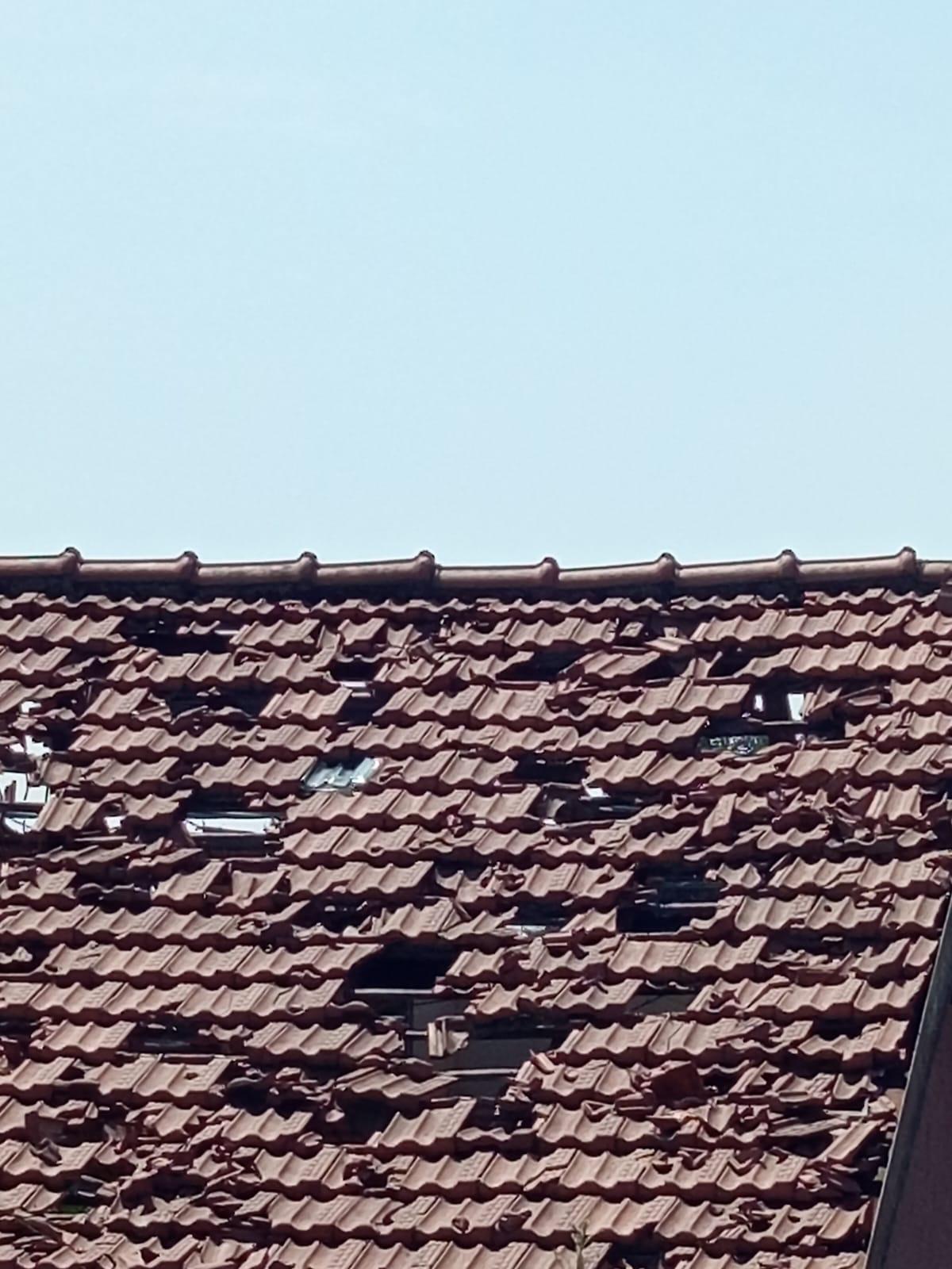 Alessandro Arnese - Sana SOLUZIONI Progetti